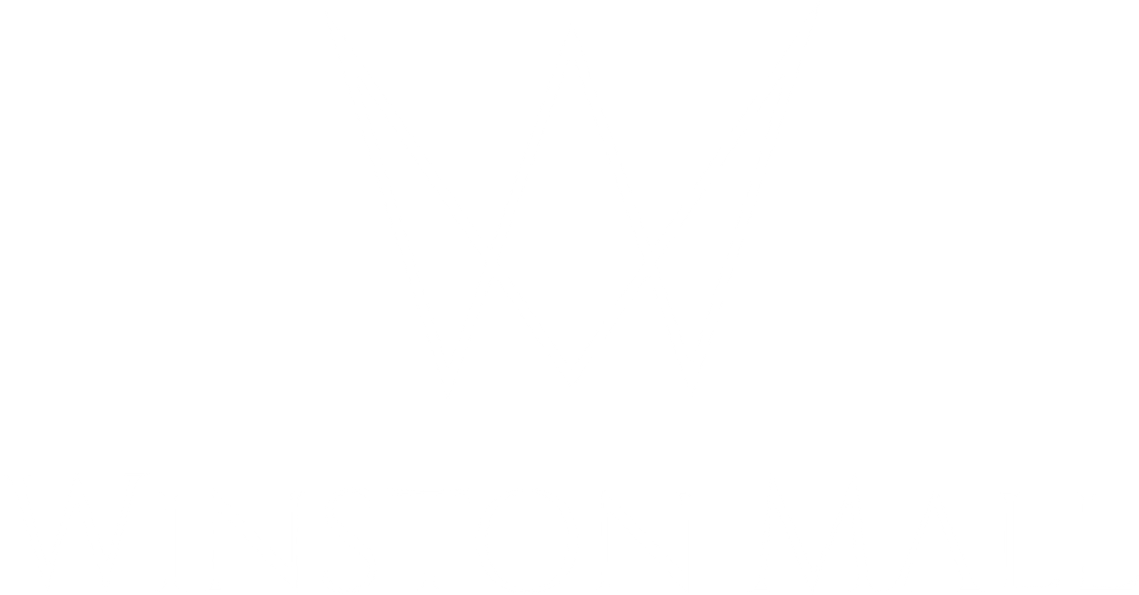 Winston Mall